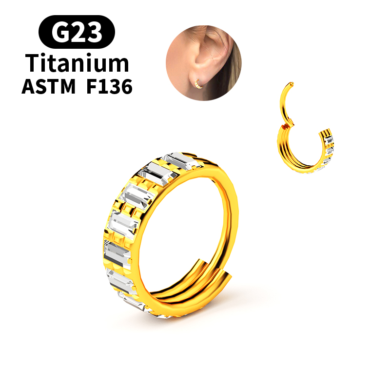 G23チタンジルコン製ヒンジ付きセグメントノーズリングフープ - Body Jewelry Nipple Rings のレビューと価格