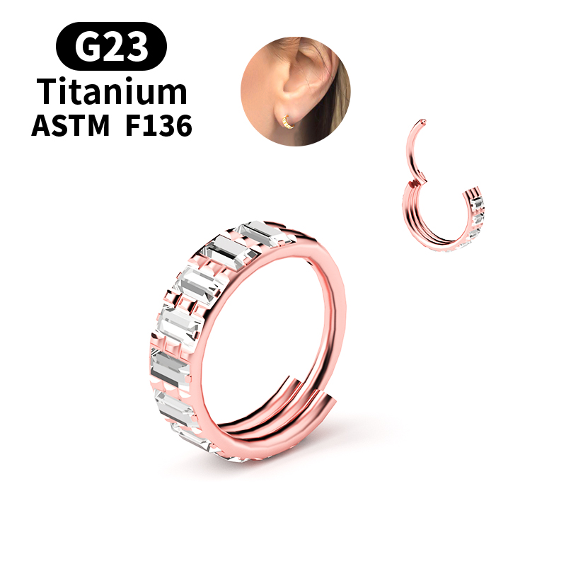 G23チタンジルコン製ヒンジ付きセグメントノーズリングフープ - Body Jewelry Nipple Rings のレビューと価格