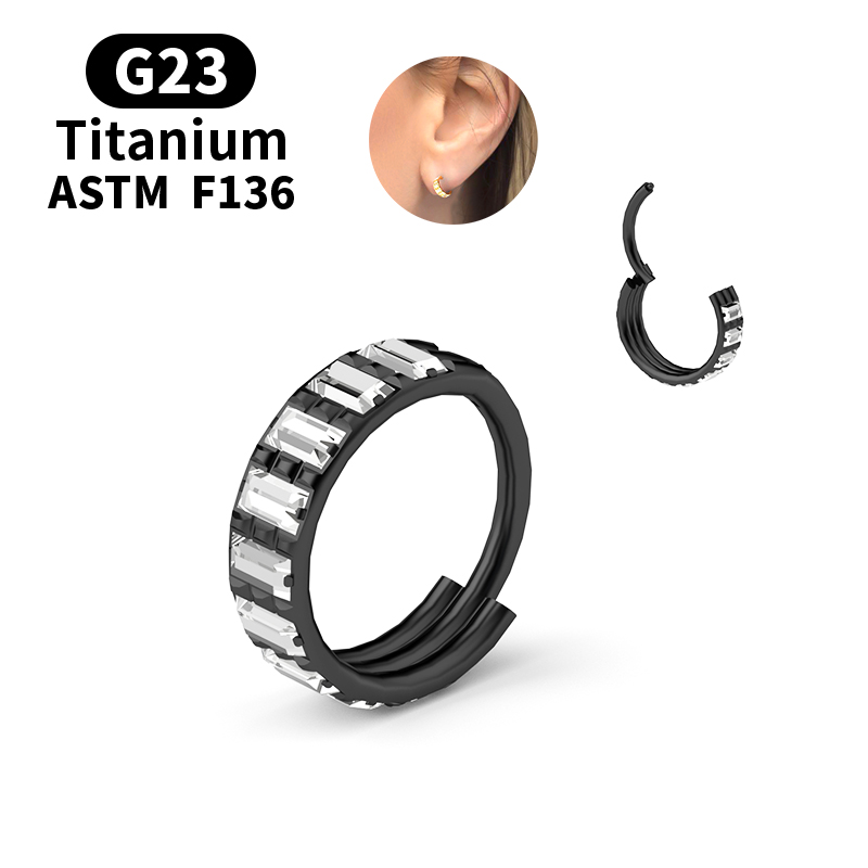 G23チタンジルコン製ヒンジ付きセグメントノーズリングフープ - Body Jewelry Nipple Rings のレビューと価格