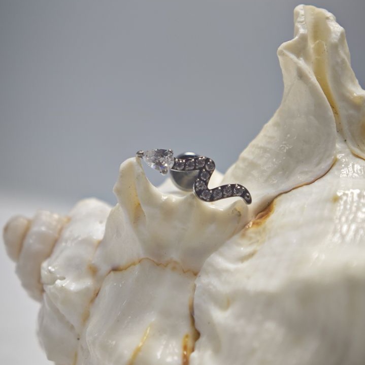 16G チタン製インプラントグレード高研磨内部ネジ式スネーク - Body Jewelry Implant Grade のレビューと価格