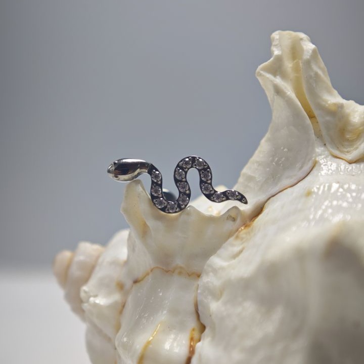 16G チタン製インプラントグレード高研磨内部ネジ式スネーク - Body Jewelry Implant Grade のレビューと価格